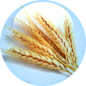Super Carbohydrate Complex 2